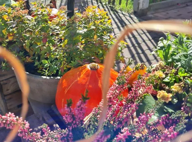 Seeschloesschen Rathenow